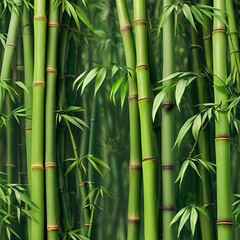 bamboo forest background