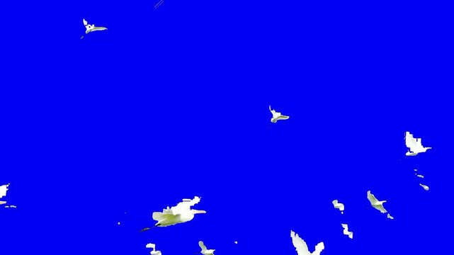 animation of white birds flying on blue screen 