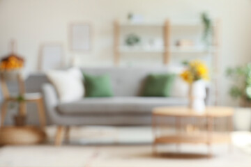 Cozy sofa and vase with wild flowers on coffee table in interior of living room. Blurred view