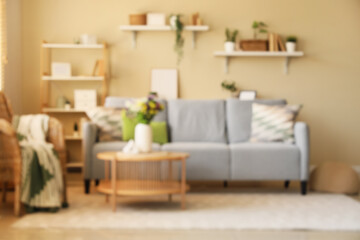 Comfortable sofa, armchair and wild flowers in vase on coffee table in living room. Blurred view