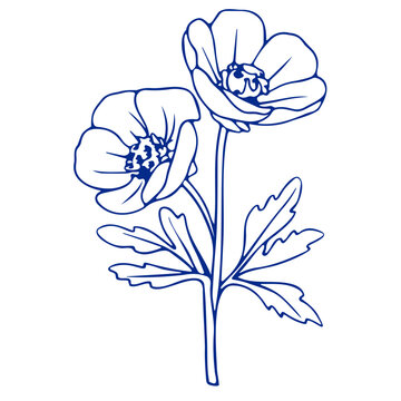 recommend clip art: Two blue anemone flowers with leaves, simple line art style