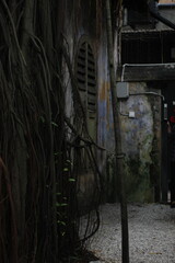 Structure with some flora