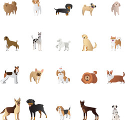 Set of illustrations of different breed of dogs, hand-drawn as vector graphic