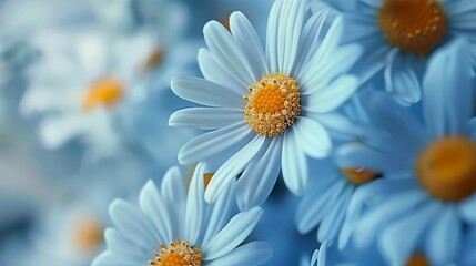 Obraz premium A stunning vibrant blue flower fresh blossom with soft blur background tranquility