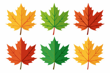 Maple leaf setart vector illustration