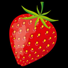 Hand drawn vector red strawberry. Single fresh strawberry icon with seeds, green stem and leaves, illustration object isolated.
