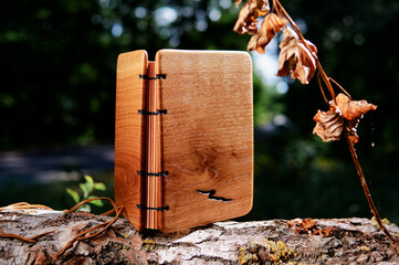 Handmade notebook with wooden cover.