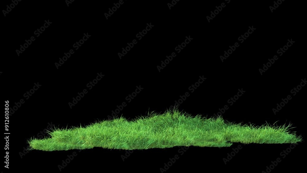 Wall mural grass wind noise loop on alpha channel. element footage place on footage or background and easier to