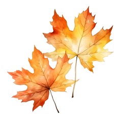 Vibrant Watercolor Autumn Maple Leaves Isolated on White