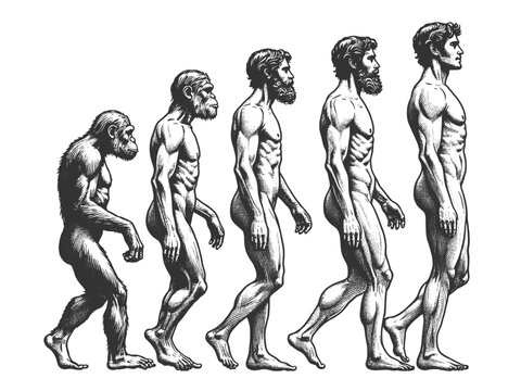 evolution of man from ape through various stages to modern human sketch engraving generative ai fictional character vector illustration. Scratch board imitation. Black and white image.