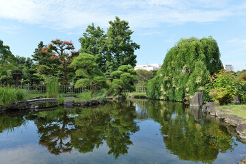 Obraz premium 大船フラワーセンターの日本庭園 