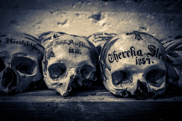 The skull house