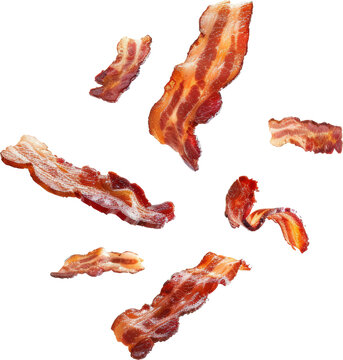 Crispy Bacon Bits