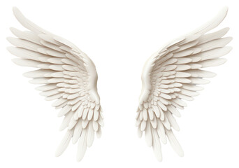 PNG Angel white wing art.