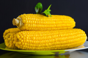 boiled sweet delicious corn in a plate