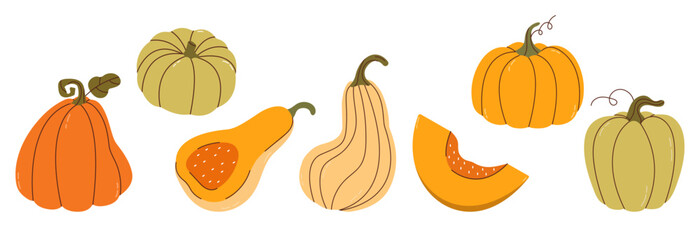 Set of simple autumn pumpkin. Hand drawn pumpkin squash in warm natural fall colors isolated on white. Vector illustration - autumn themes, Halloween, Thanksgiving design elements. Cute Pumpkins