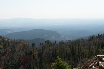 Bryce Canyon: A Symphony of Hoodoos and Nature's Artistry
Experience the otherworldly beauty of Bryce Canyon, where towering hoodoos and vibrant rock formations create a stunning amphitheater of natur