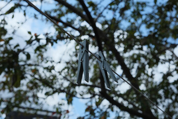 clothespins in front of the tree