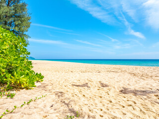 Empty tropical beach and seascape, Beautiful sandy beach and sea in sunny day,Blue sky in good...