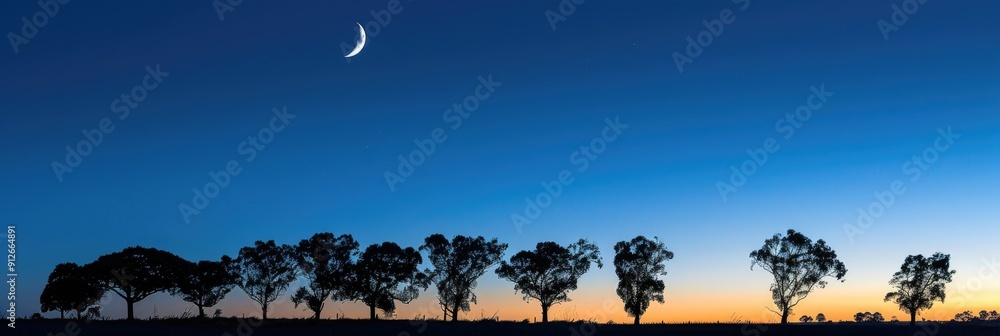 Canvas Prints Silhouette of trees under crescent moon in the blue evening sky