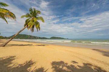 Summer background of Coconut Palm trees on white sandy beach Landscape nature view Romantic ocean bay with blue water and clear blue sky over sea at Phuket island Thailand.