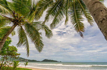 Summer background of Coconut Palm trees on white sandy beach Landscape nature view Romantic ocean bay with blue water and clear blue sky over sea at Phuket island Thailand.