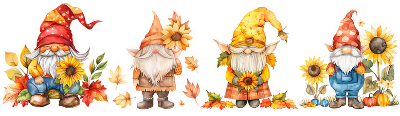 Set of autumn Gnome with sunflower and autumn leaves clipart isolated on transparent background.