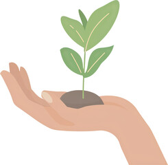 A hand holding a sprout