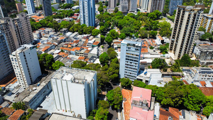 amazing view of many trees in the city
