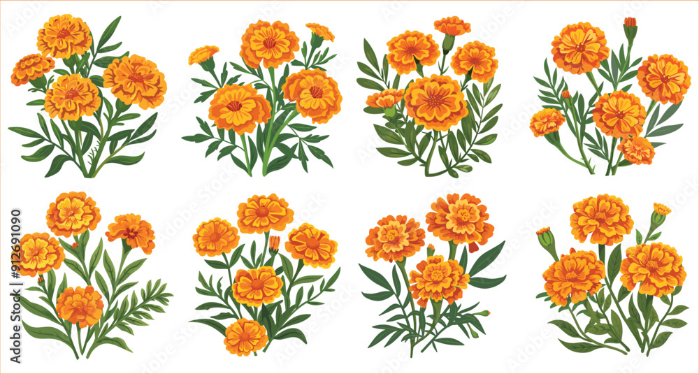 Wall mural beautiful yellow marigold flowers, fresh marigold flowers, beautiful summer marigold flowers, vector