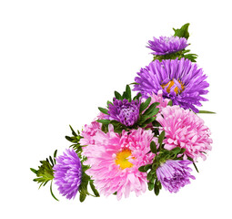 Pink and purple aster flowers in a autumn corner arrangement isolated on white or transparent...