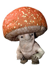 3D Rendering Fly Agaric on White