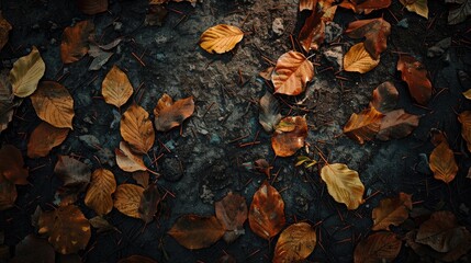 Leaves on the ground below me