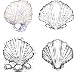 Detailed Seashell Illustrations