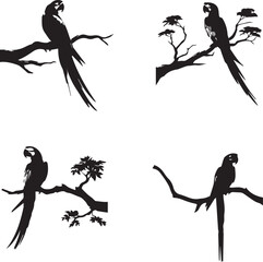 macaw silhouette, macaw icon, macaw vector, 