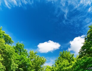 Blue Sky with Fluffy White Clouds on a Sunny Summer Day