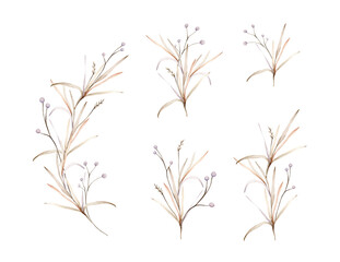 Set of light round violet flowers. Watercolor hand painting illustration on isolated background. Clipart of flowers with herbs and dried branches. Botanical floral autumn composition pastel color.