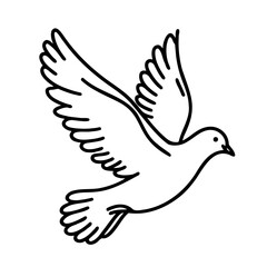 A white bird with black wings flying in the air. The bird is the main focus of the image