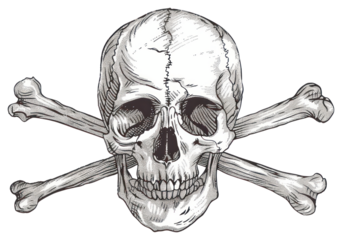 PNG Drawing art illustrated sketch.