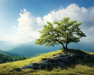 Obraz premium A tree is standing on a hillside in a grassy field