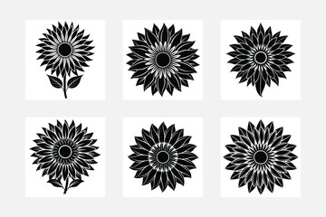 Fototapeta premium set of black and white flowers