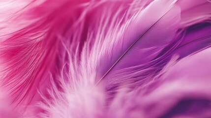 Fototapeta premium Detailed Close-Up of Pink and Violet Feathers on a Nature-Inspired Background