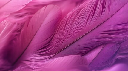 Fototapeta premium Close-Up of Pink and Violet Feathers with a Nature Background