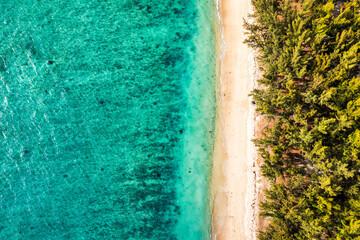 Beautiful Mauritius island with beach Flic en flac. Coral reef around tropical palm beach, Flic en Flac, Mauritius. Aerial view of a beautiful beach along the coast in Flic en Flac, Mauritius.