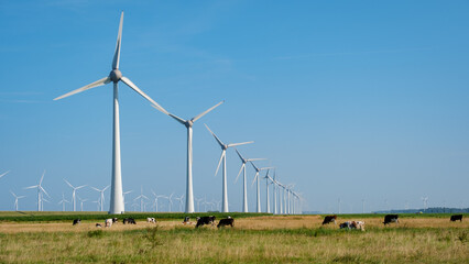 Windmill Park in the Netherlands With Grazing Cows Under a Bright Blue Sky © Fokke Baarssen