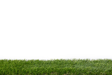 Green Grass with White Sky Background