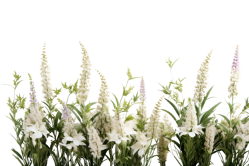 PNG Elegant white floral arrangement