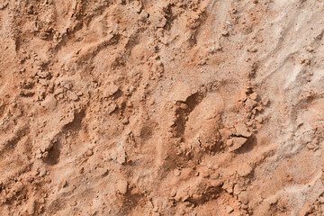 Background of beige, brown beach sand with natural pattern background. top view, flat lay
