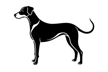 illustration of a dog vector