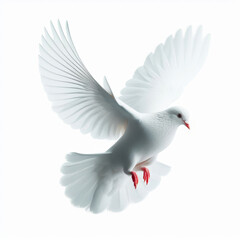 Paloma blanca al vuelo